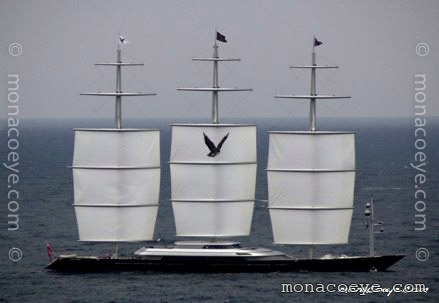 Maltese Falcon