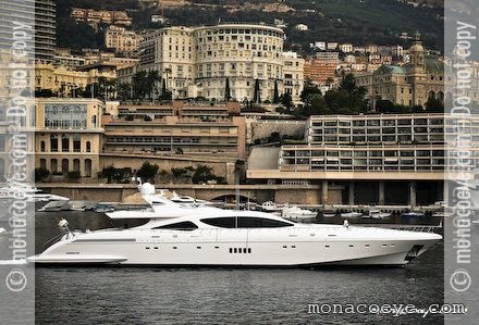 Mangusta 165 Salvaje