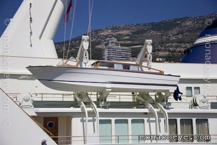 Serenella tender Alexander