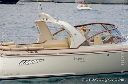 Wajer Osprey