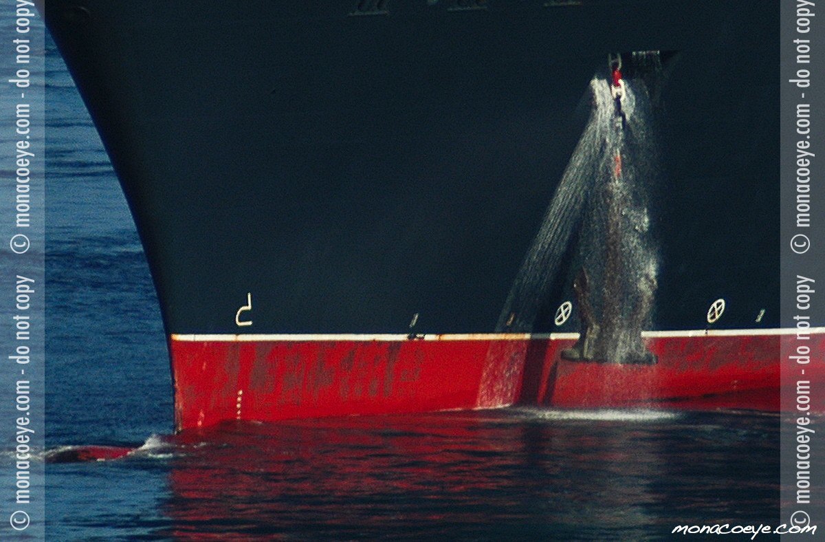 Queen Mary 2